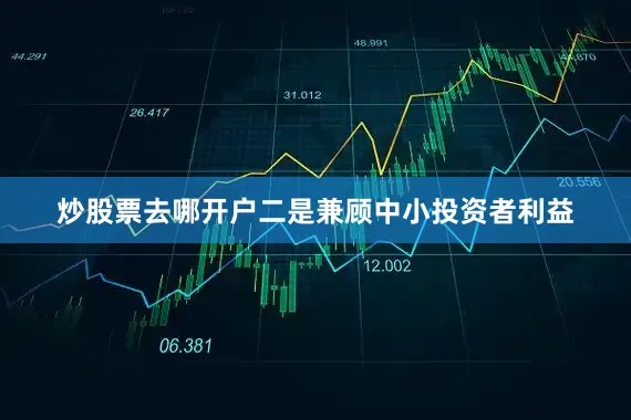 炒股票去哪开户二是兼顾中小投资者利益