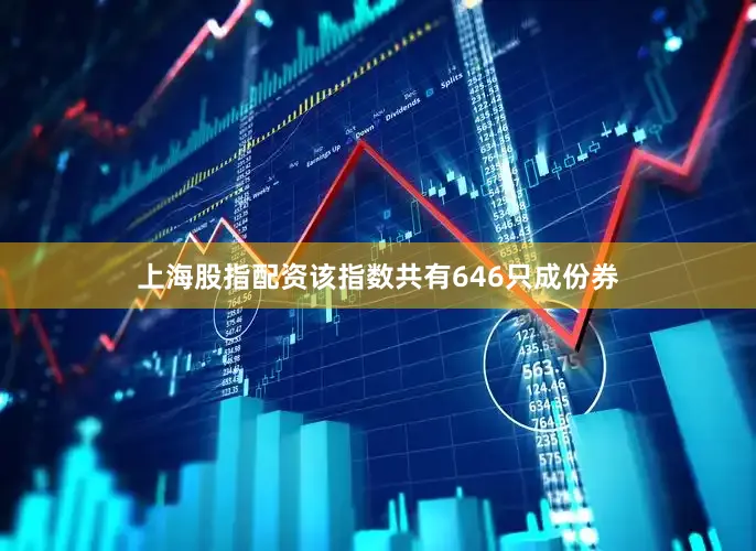 上海股指配资该指数共有646只成份券
