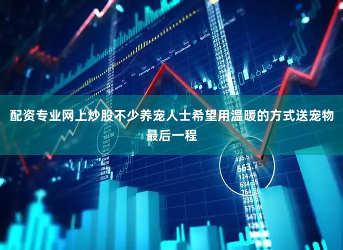 配资专业网上炒股不少养宠人士希望用温暖的方式送宠物最后一程