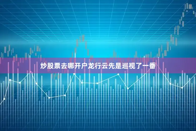 炒股票去哪开户龙行云先是巡视了一番