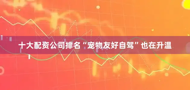 十大配资公司排名“宠物友好自驾”也在升温