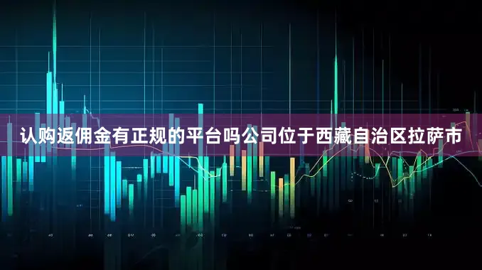 认购返佣金有正规的平台吗公司位于西藏自治区拉萨市