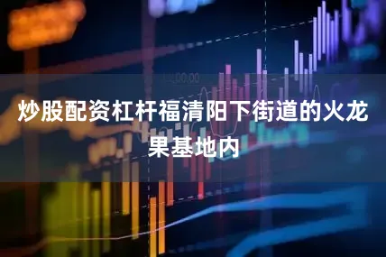 炒股配资杠杆福清阳下街道的火龙果基地内